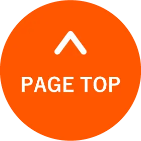 PAGE TOP